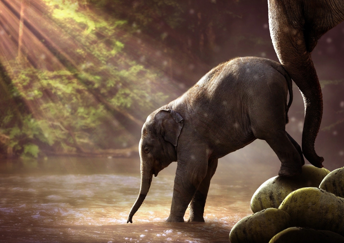 Bild 1: Nudging: Ein Anstuper, aber wer entscheidet die Richtung?. Bild 1: Nudging: Ein Anstuper, aber wer entscheidet die Richtung?