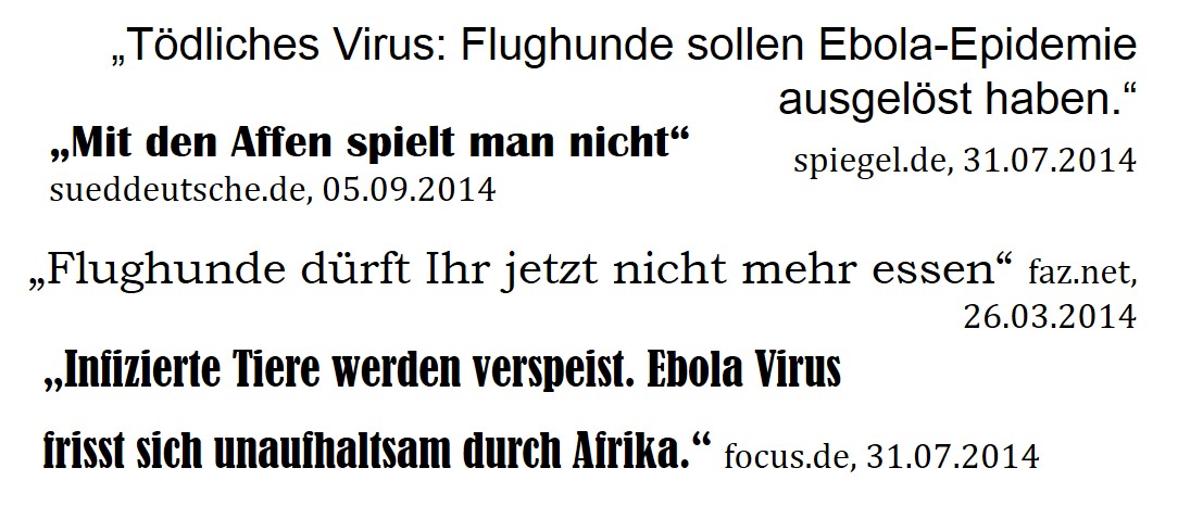 Abbildung 2: Beispiele für Überschriften zur Berichterstattung zum Ebola Ausbruch 2014 in populären deutschen Nachrichtenseiten. Selbst erstellt. Abbildung 2: Beispiele für Überschriften zur Berichterstattung zum Ebola Ausbruch 2014 in populären deutschen Nachrichtenseiten. Selbst erstellt.