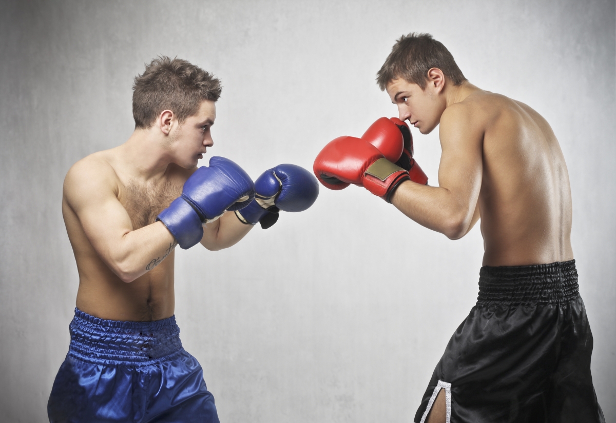Bild 3: Ollyy via Shutterstock Bild 3: Ollyy via Shutterstock