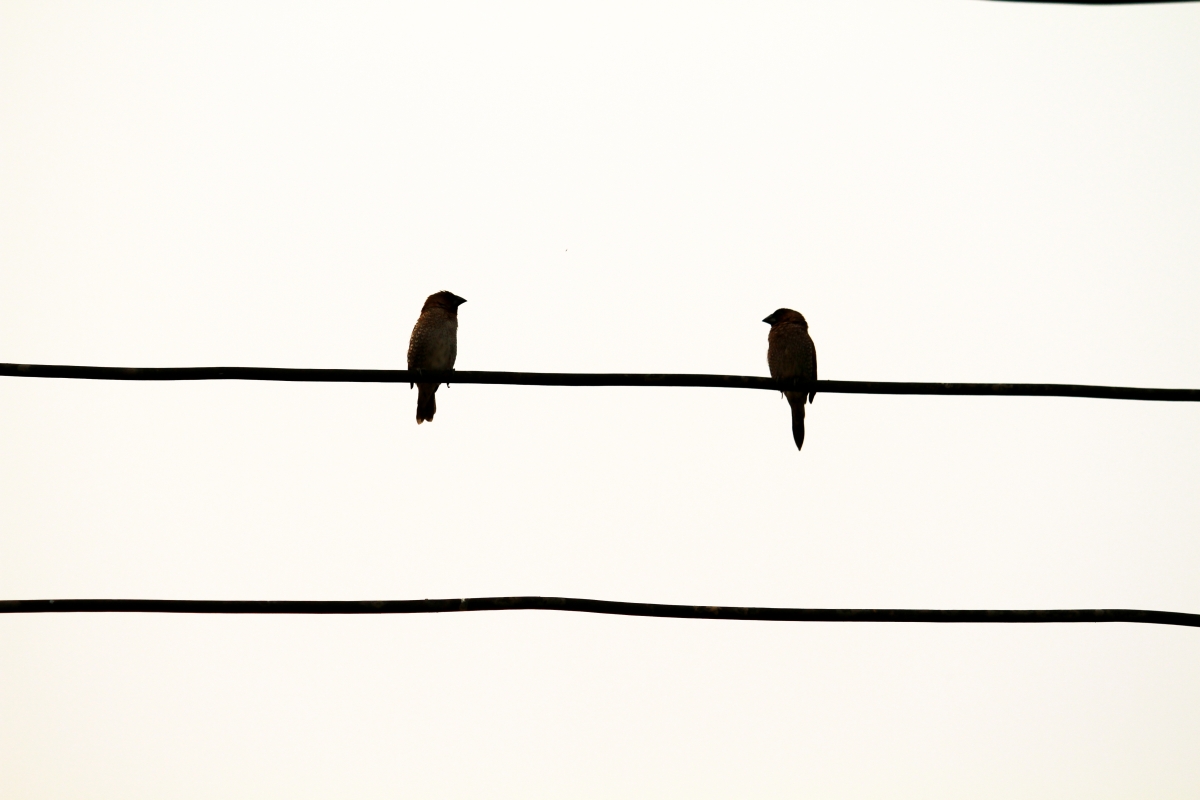Bild 4: Kitzero via Shutterstock Bild 4: Kitzero via Shutterstock
