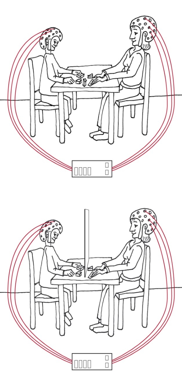 Bild 3: Schematische Darstellung eines typischen fNIRS Experiments zur Erfassung der wechselseitigen Anpassung der Gehirnaktivität in Eltern-Kind Paaren. Oben: Gemeinsames lösen von Puzzeln. Unten: Voneinander unabhängiges lösen von Puzzeln. Bild 3: Schematische Darstellung eines typischen fNIRS Experiments zur Erfassung der wechselseitigen Anpassung der Gehirnaktivität in Eltern-Kind Paaren. Oben: Gemeinsames lösen von Puzzeln. Unten: Voneinander unabhängiges lösen von Puzzeln.