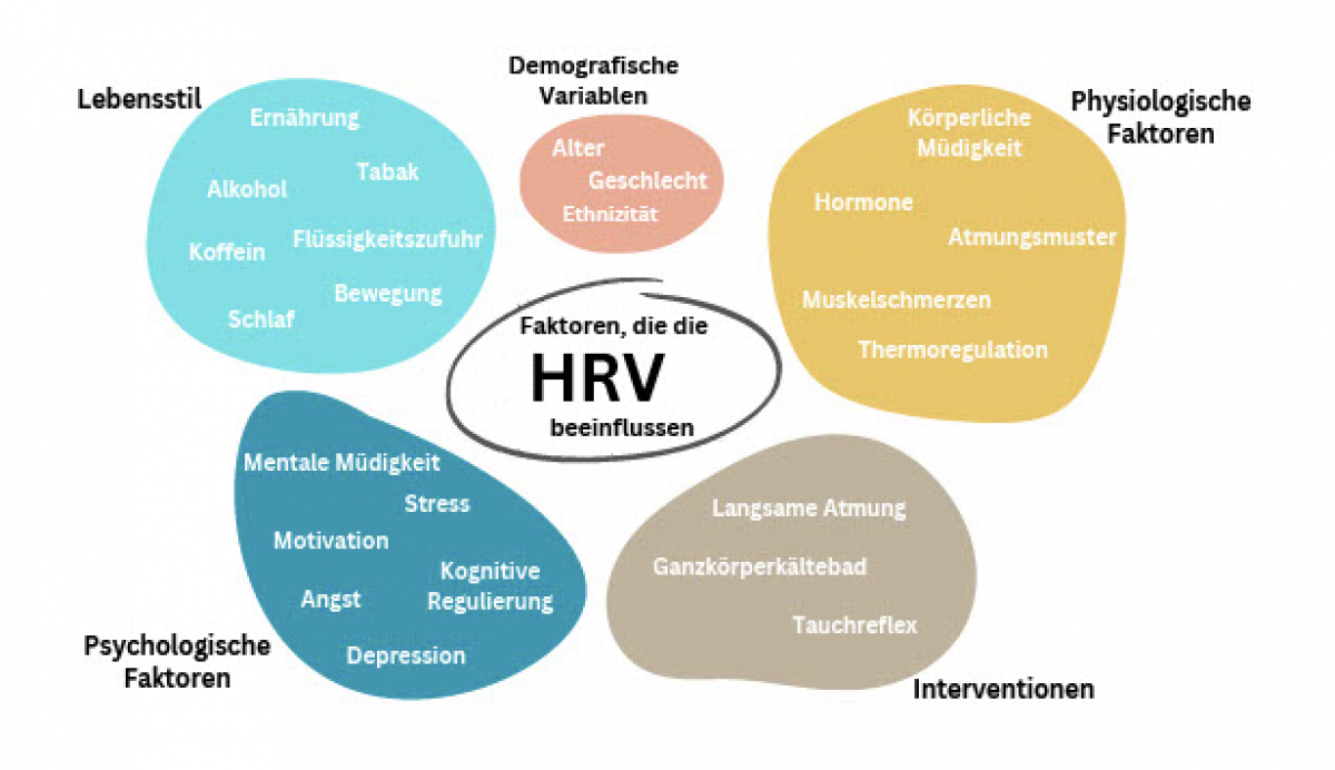 Abbildung 2