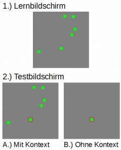 Abbildung 1. Beispielhaftes Versuchsmaterial: 1.) Die Versuchspersonen lernen die Positionen der Objekte. 2.) Nach einer kurzen Memorierungsphase entscheiden sie für ein markiertes Objekt mit Kontextinformationen (A) oder ohne Kontextinformationen (B), ob es versetzt wurde. Mit Kontextinformationen kann die Aufgabe besser gelöst werden. Objekte werden somit nicht unabhängig voneinander gespeichert. Die Abbildung zeigt eine Bedingung ohne Objektversetzung. Versuchsmaterial aus der Papenmeier, Huff & Schwan (2012) Studie. Es werden keine Rechte Dritter verletzt.