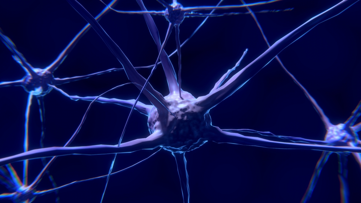 Das hierarchische Modell des Gehirns vernachlässigt die bekannte Komplexität der Nervenverbindungen und die zeitliche Dimension der Verarbeitung. Bild: ColiN00B via pixabay (https://pixabay.com/de/nervenzelle-neuron-gehirn-neuronen-2213009/, CC: https://creativecommons.org/publicdomain/zero/1.0/deed.de) Das hierarchische Modell des Gehirns vernachlässigt die bekannte Komplexität der Nervenverbindungen und die zeitliche Dimension der Verarbeitung. Bild: ColiN00B via pixabay (https://pixabay.com/de/nervenzelle-neuron-gehirn-neuronen-2213009/, CC: https://creativecommons.org/publicdomain/zero/1.0/deed.de)